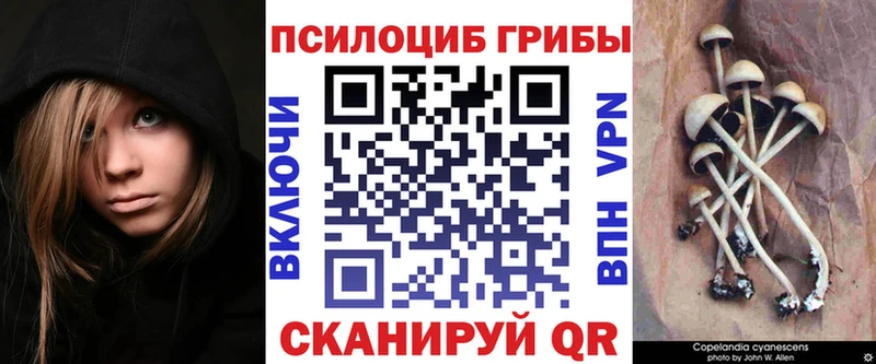 где купить наркоту  Людиново  Галлюциногенные грибы мухоморы 